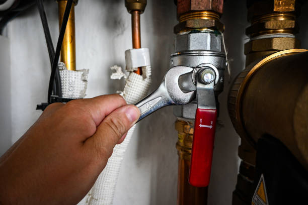 Best Residential Plumbing Services  in Lockport, IL